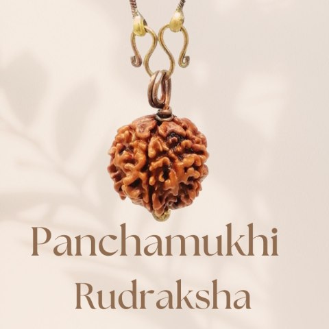 Rudraksha Panchamukhi  (five faced) z miedzianym łańcuszkiem