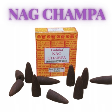 KADZIDEŁKA STOŻKOWE BACKFLOW NAG CHAMPA GOLOKA 10 szt.