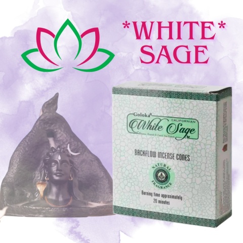BACKFLOW WHITE SAGE GOLOKA CONICAL INCENSE STICKS 10 pcs. WHITE SAGE