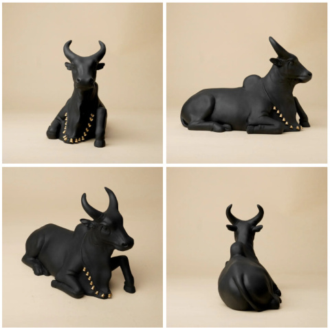 NANDI Dignified Meditation - ISHA
